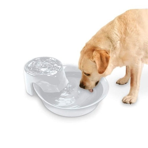 Pioneer Pet Big Max Ceramic Pet Fountain 3.7 Ltrs - White