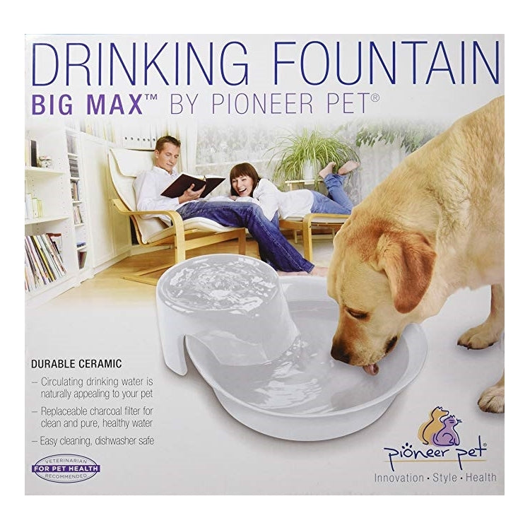 Pioneer Pet Big Max Ceramic Pet Fountain 3.7 Ltrs - White