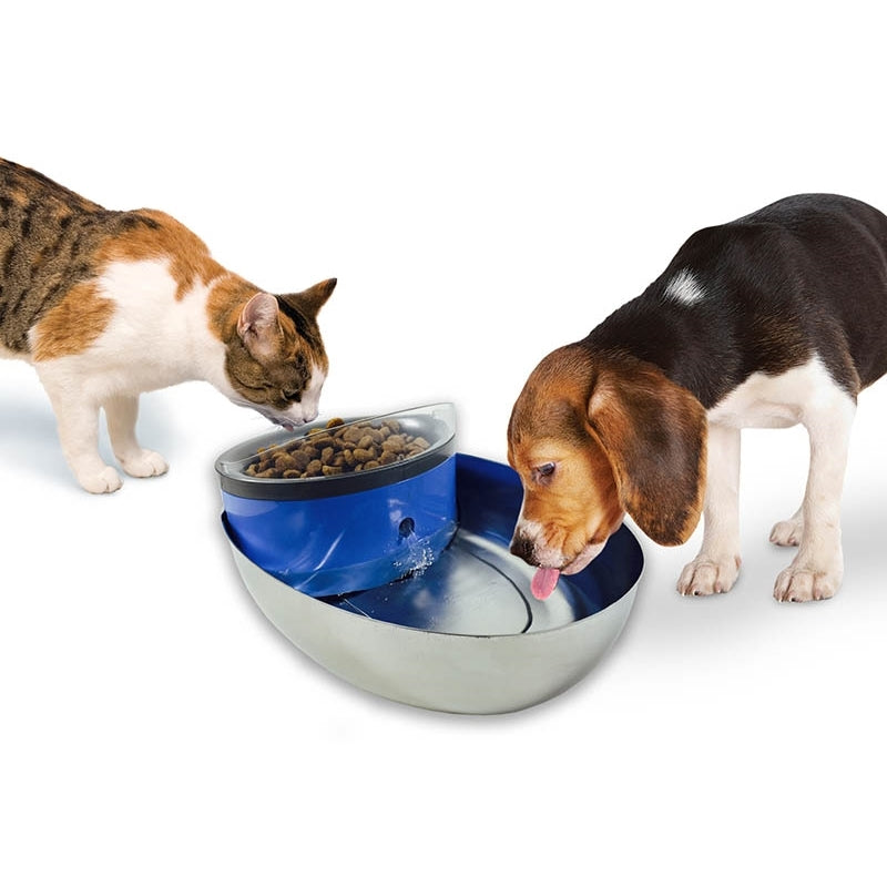 Pioneer Pet Water Food Bowl & Cat and Dog Drinking Fountain 1.18 Ltrs