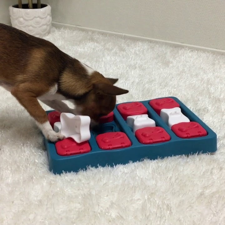 Outward Hound New Brick Interactive Treat Dispenser Dog Toy 