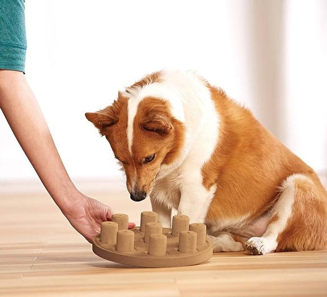 Outward Hound Smart Interactive Dog Toy in Wooden Composite 