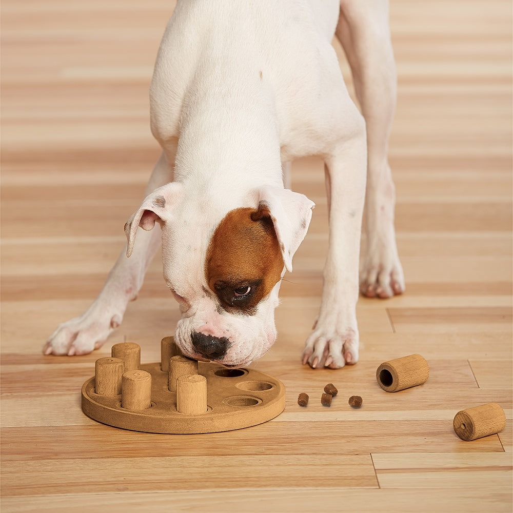 Outward Hound Smart Interactive Dog Toy in Wooden Composite 