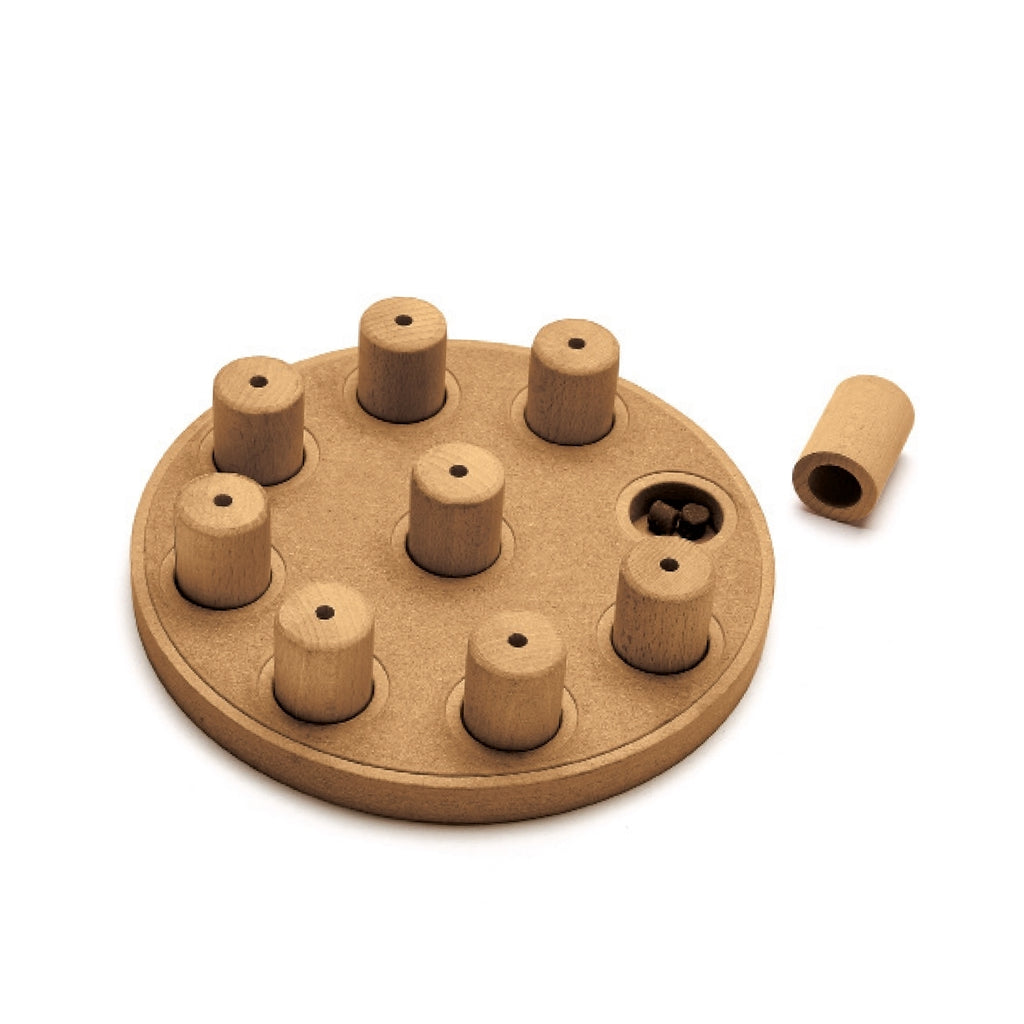 Outward Hound Smart Interactive Dog Toy in Wooden Composite 