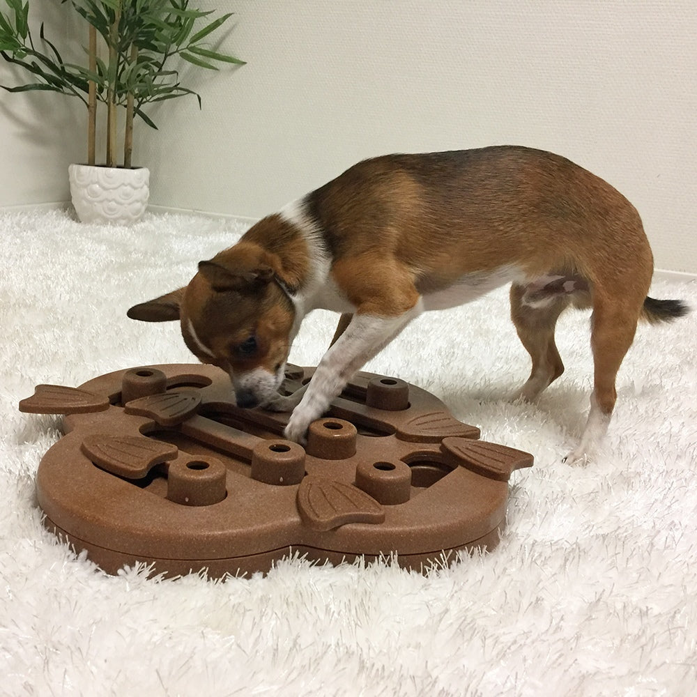 Outward Hound Smart Hide N Slide Wood Composite Dog Toy 