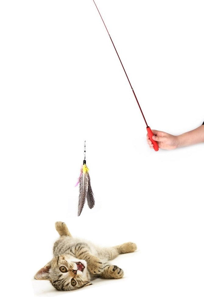 Go Cat Da Bird Pull-Apart Wand Cat Feather Teaser 