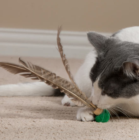 Da Bird Kitty Kopter - Feather Cat Toy