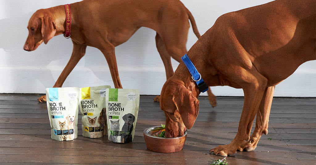 Buy The Art of Whole Food for Dogs & Cats