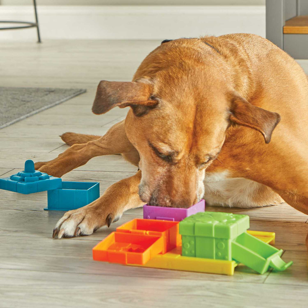Brightkins Surprise Party! Dog Treat Interactive Puzzle Toy