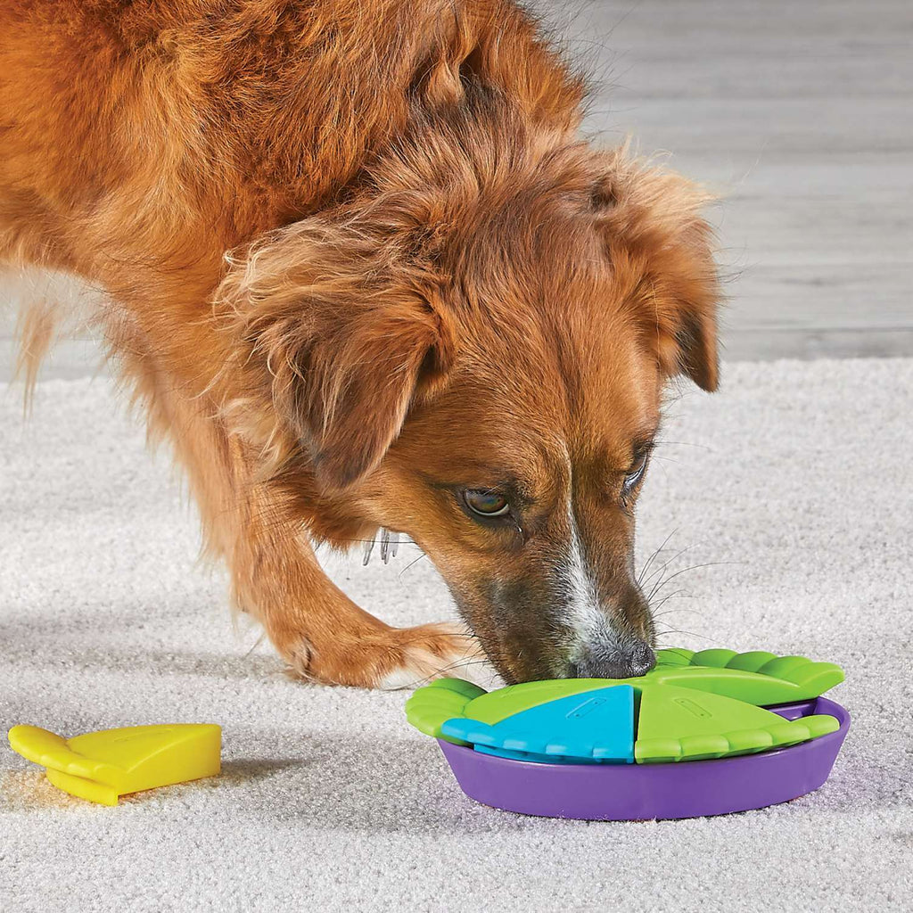 Brightkins Slice of Pie Interactive Treat Puzzle Toy