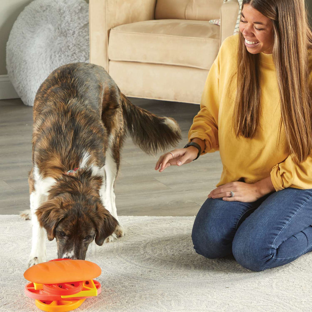 Brightkins Pupstrami Surprise! Interactive Dog Treat Puzzle Toy