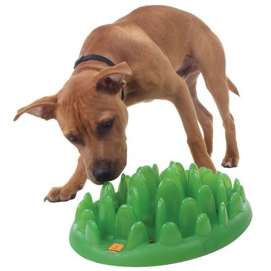 Northmate Mini Interactive Slow Food Dog Bowl - Green