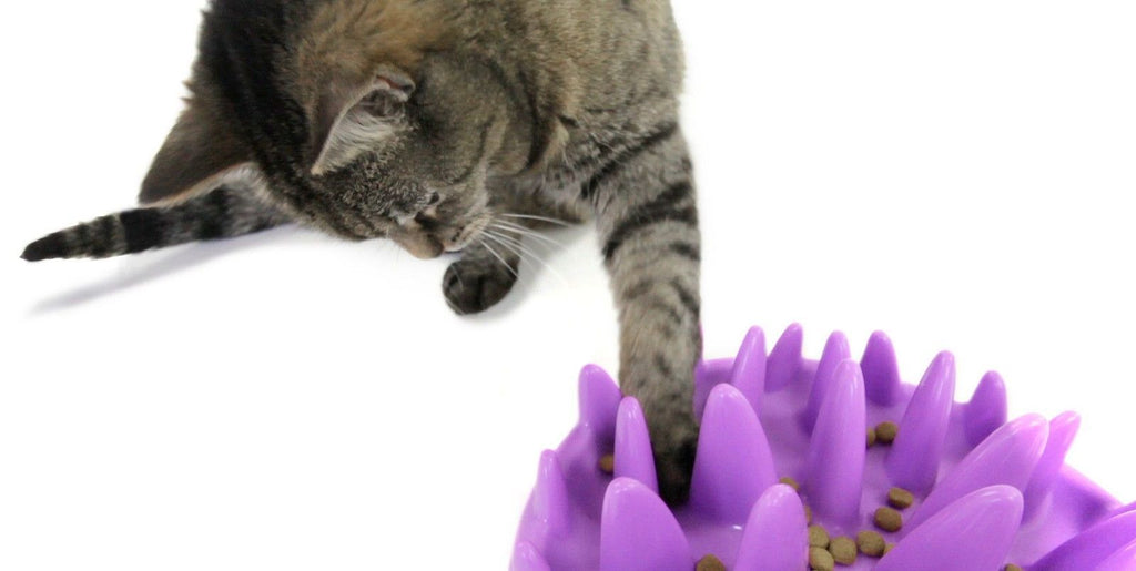 Northmate Catch Interactive Slow Food Cat Bowl 