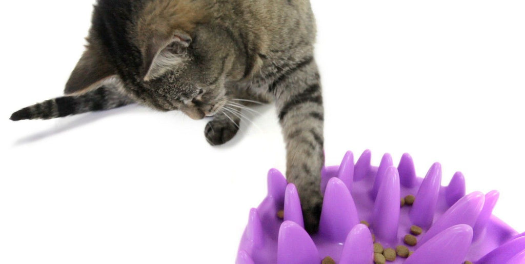 Northmate Catch Interactive Slow Food Cat Bowl 