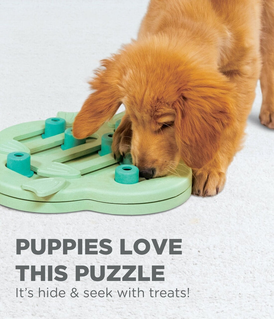 Nina Ottosson Hide & Slide Interactive Puzzle Dog Toy for Puppies - Level 2 