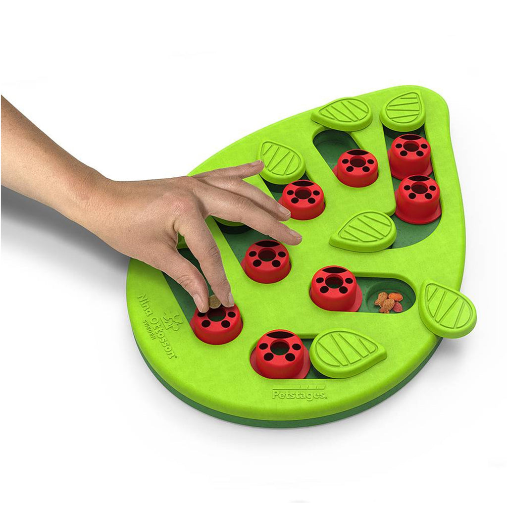 Nina Ottosson Puzzle & Play Buggin Out Treat Dispensing Cat Toy - Green 