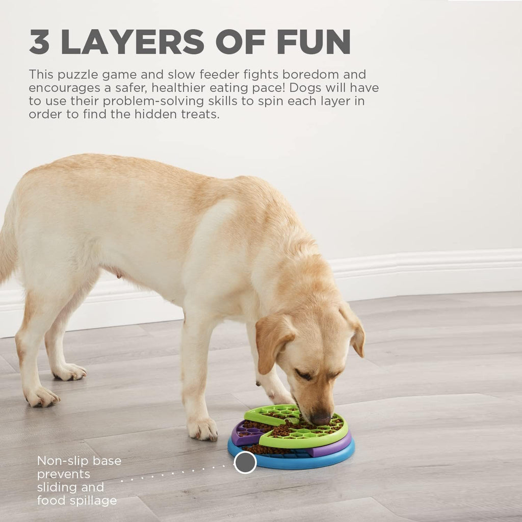 Outward Hound Lickin' Layers Slow Food & Treat Bowl 