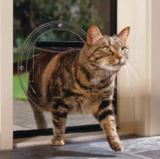 Transcat Clear Cat Door Small 4-Way Locking Door - 180mm Flap Width 