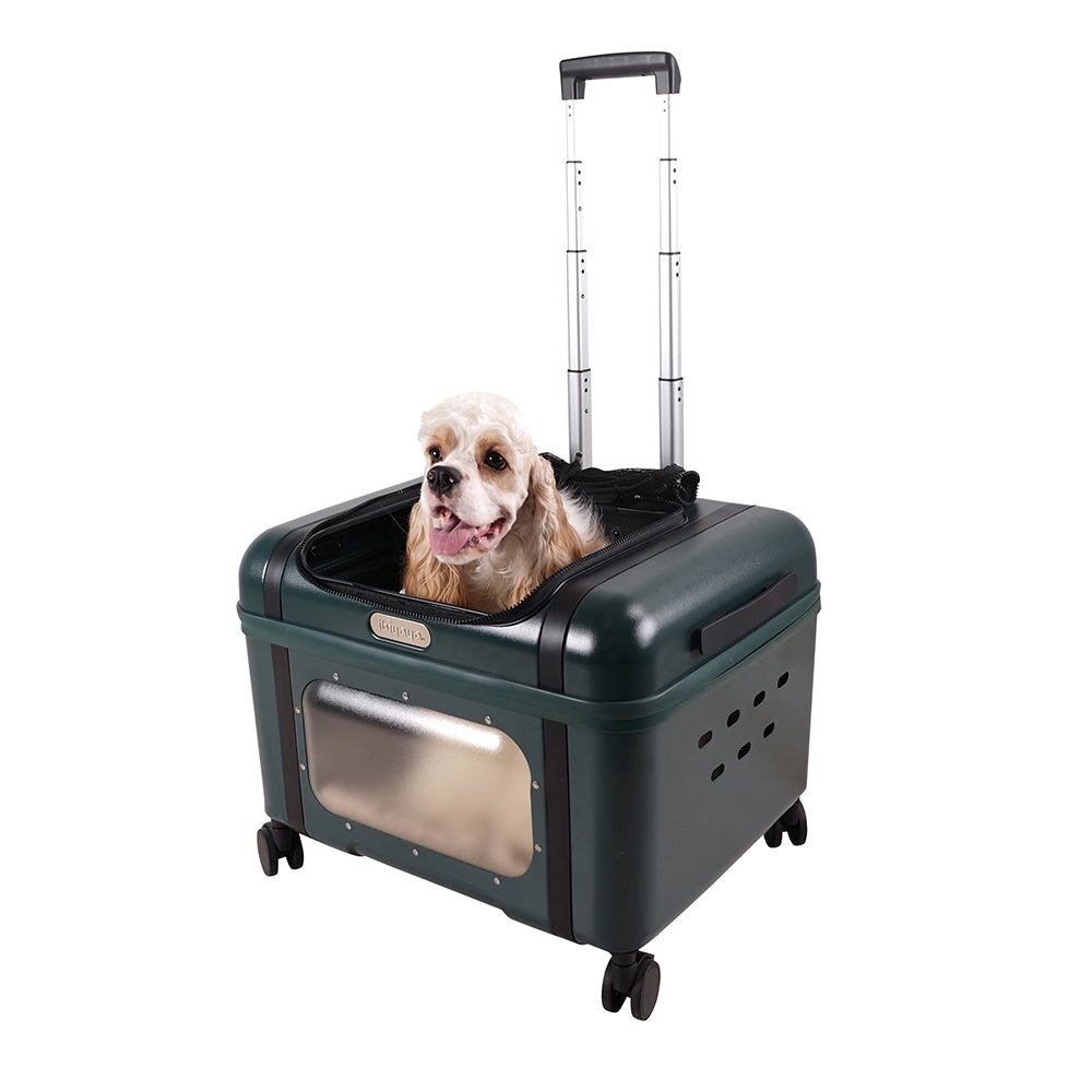 Ibiyaya Lavada Pet Transport Hard Safety Carrier Trolley on Wheels - Phthalo Green