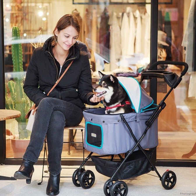 Ibiyaya Easy Strolling Pet Buggy - Simple Gray