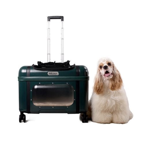 Ibiyaya Lavada Pet Transport Hard Safety Carrier Trolley on Wheels - Phthalo Green