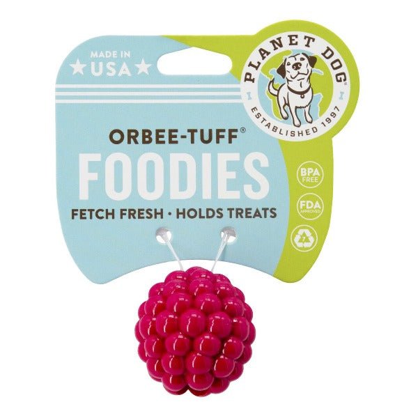 Planet Dog Orbee-Tuff Raspberry Treat-Dispensing Dog Chew Toy