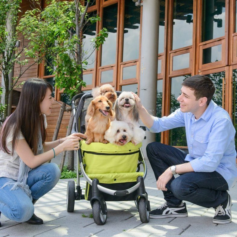 Ibiyaya Collapsible Elegant Retro Pet Stroller - Green