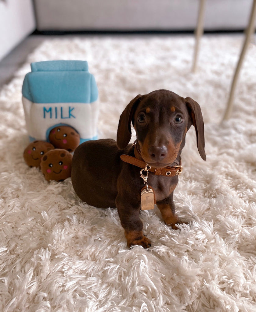 Zippy Paws Interactive Burrow Plush Dog Toy - Milk and Cookies