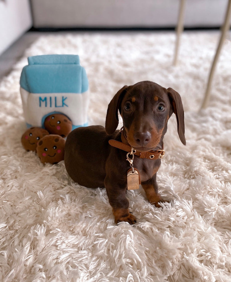 Zippypaws milk and best sale cookies