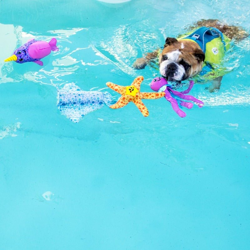Outward Hound Floatiez Stingray Dog Toy