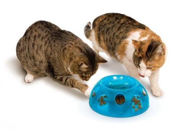 Pioneer Pet Tiger Diner Interactive Slow Cat Bowl - Blue