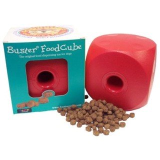 Buster Food Cube - Cherry