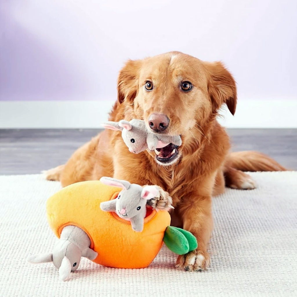 Zippy Paws Interactive Burrow Dog Toy - Bunny 'n Carrot