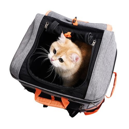 Two-tier Pet Backpack