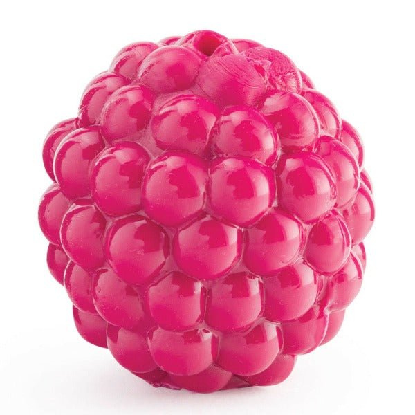 Planet Dog Orbee-Tuff Raspberry Treat-Dispensing Dog Chew Toy