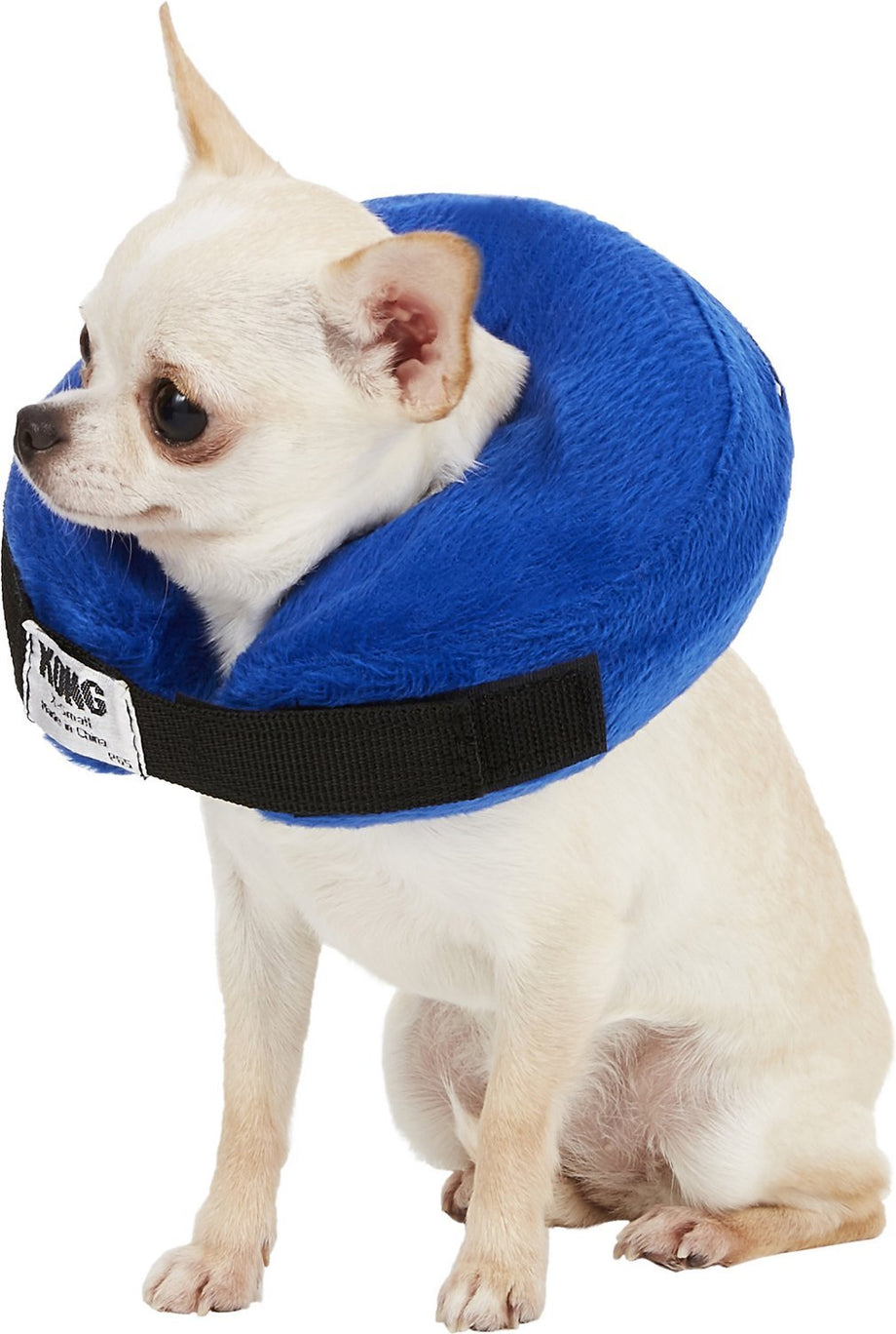 Kong cloud collar australia cheap
