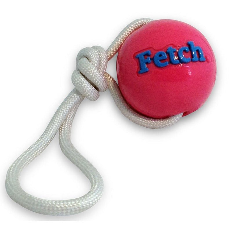 Planet Dog Orbee-Tuff Ball with Rope