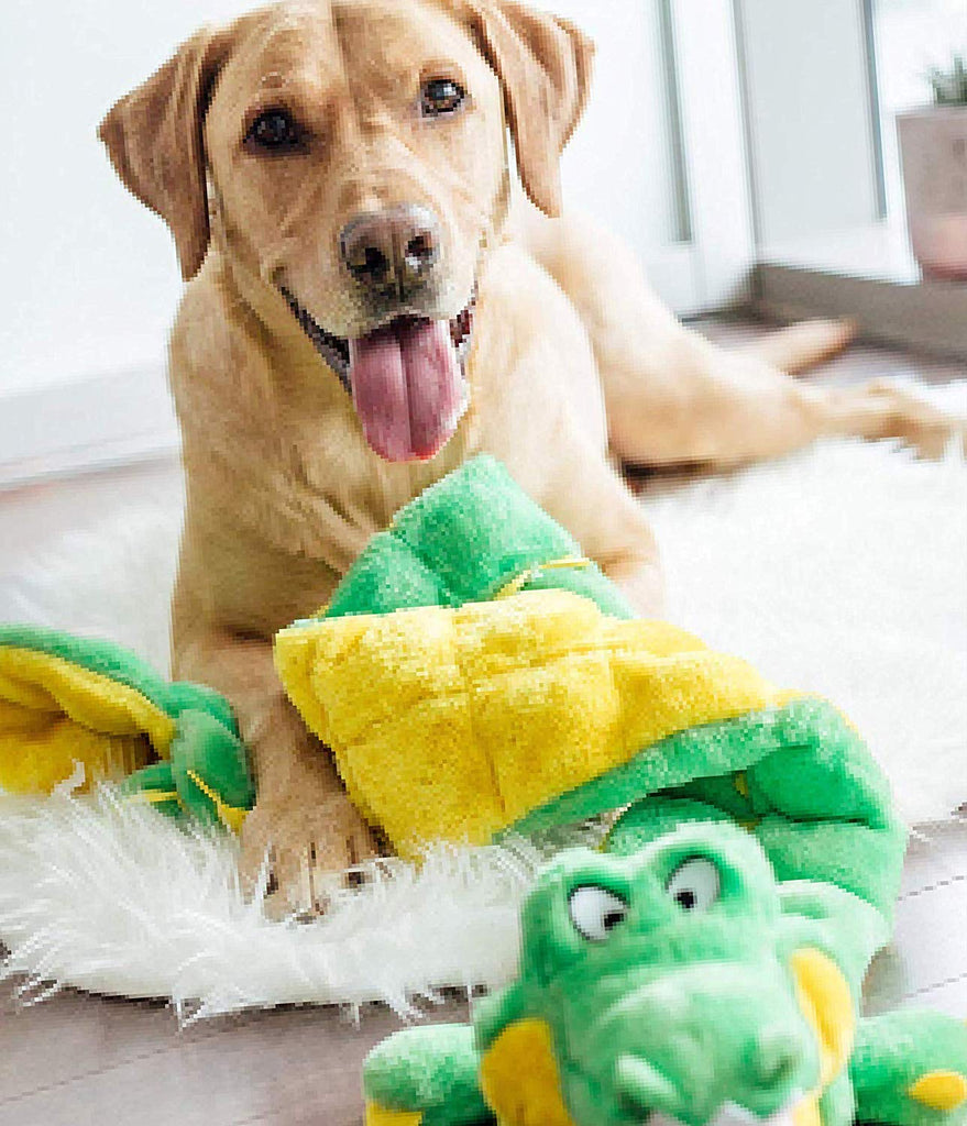 Outward Hound Squeaker Matz Gator