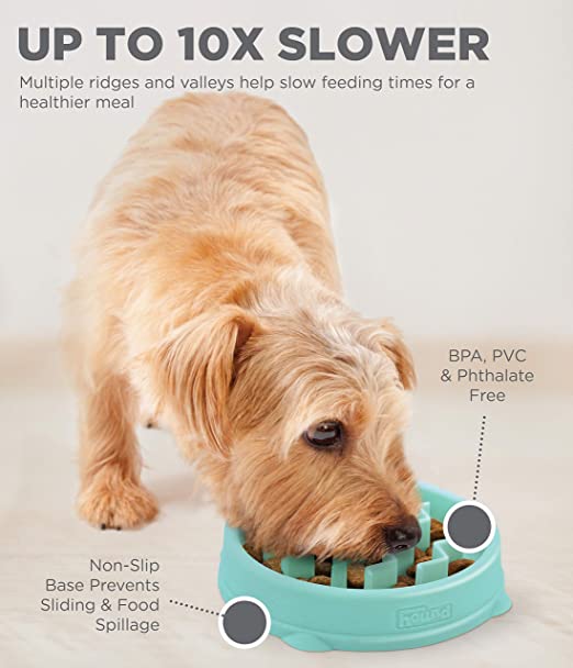 Outward Hound Fun Feeder Slo-Bowl - Mint - Tiny