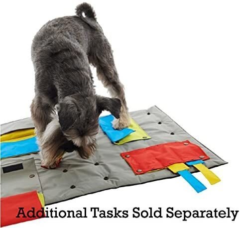 Buster ActivityMat Mouse Trap