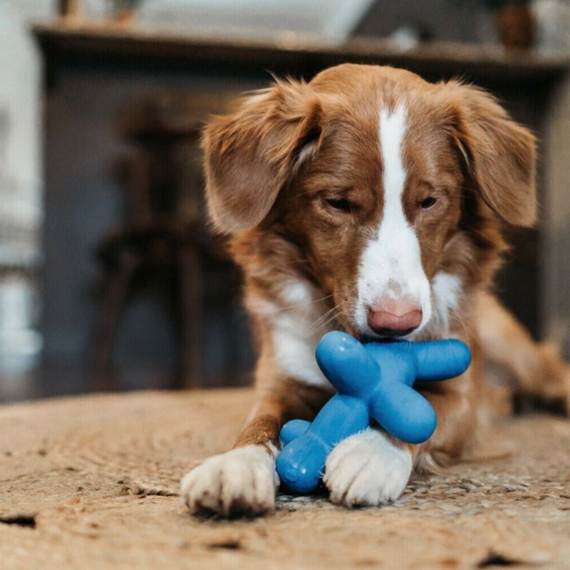 Charming Pet Latex Blue Balloon Squeaker Dog Toy