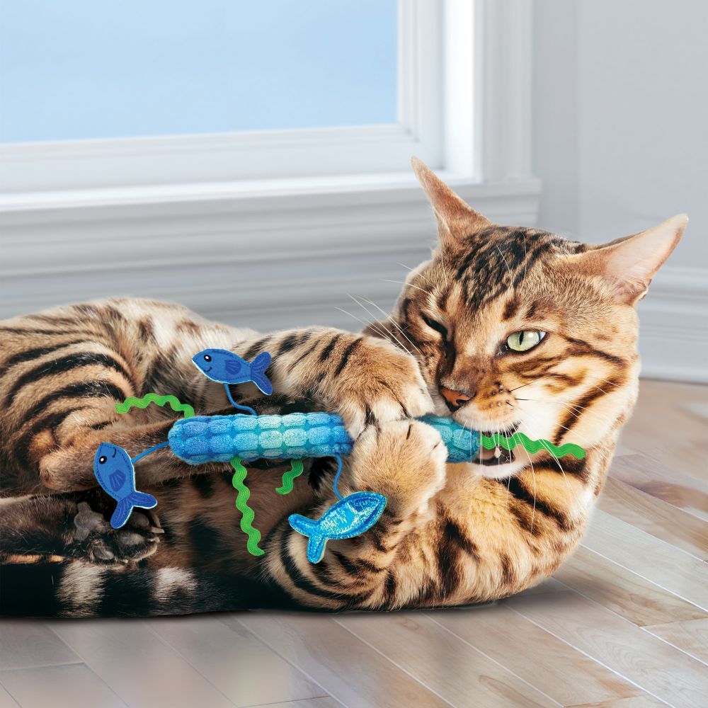 KONG Kickeroo Stickeroo Multi-Sensory Interactive Cat Toy - 3 Units