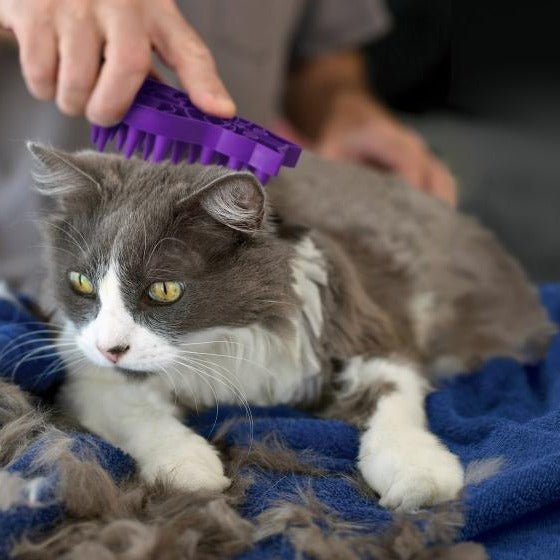 KONG Cat Zoomgroom
