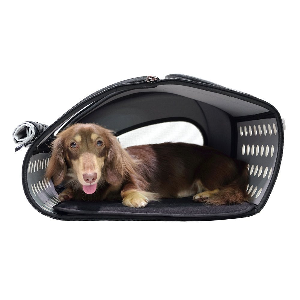 Ibiyaya EVA Pet Carrier / Pet Wheeled Carrier - Chocolate