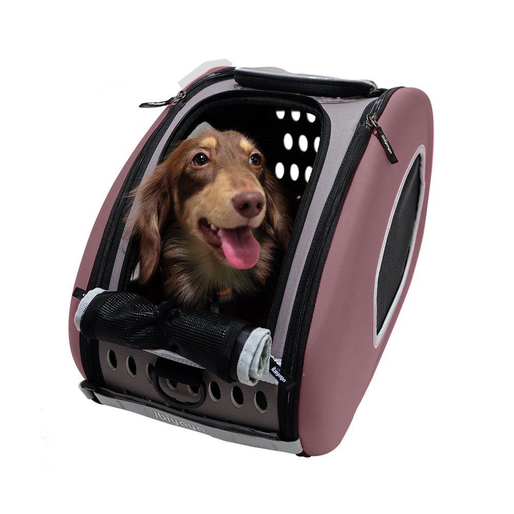 Ibiyaya EVA Pet Carrier / Pet Wheeled Carrier - Chocolate