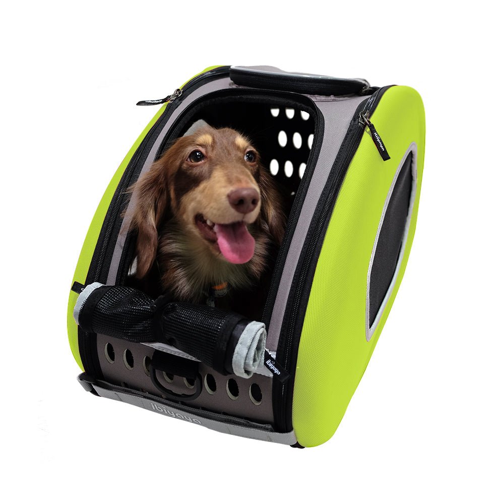 Ibiyaya EVA Pet Carrier/Wheeled Carrier - Apple Green