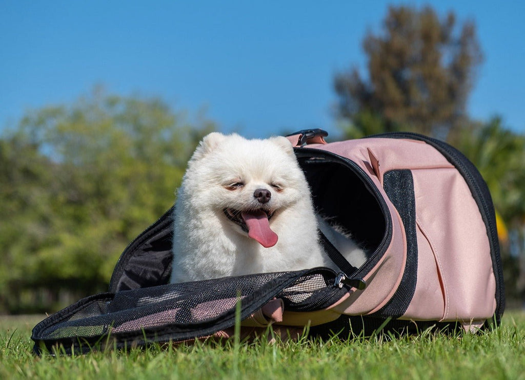 Ibiyaya Ultralight Pro Backpack Carrier - Coral Pink