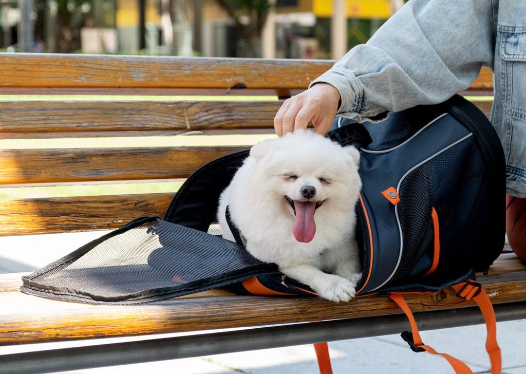 Ibiyaya Ultralight Pro Backpack Carrier - Navy Blue