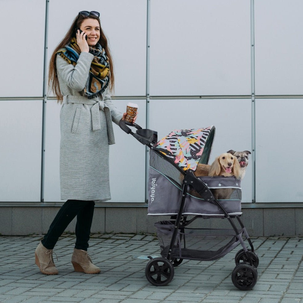 Ibiyaya Cloud 9 Pet Stroller - Mint Green