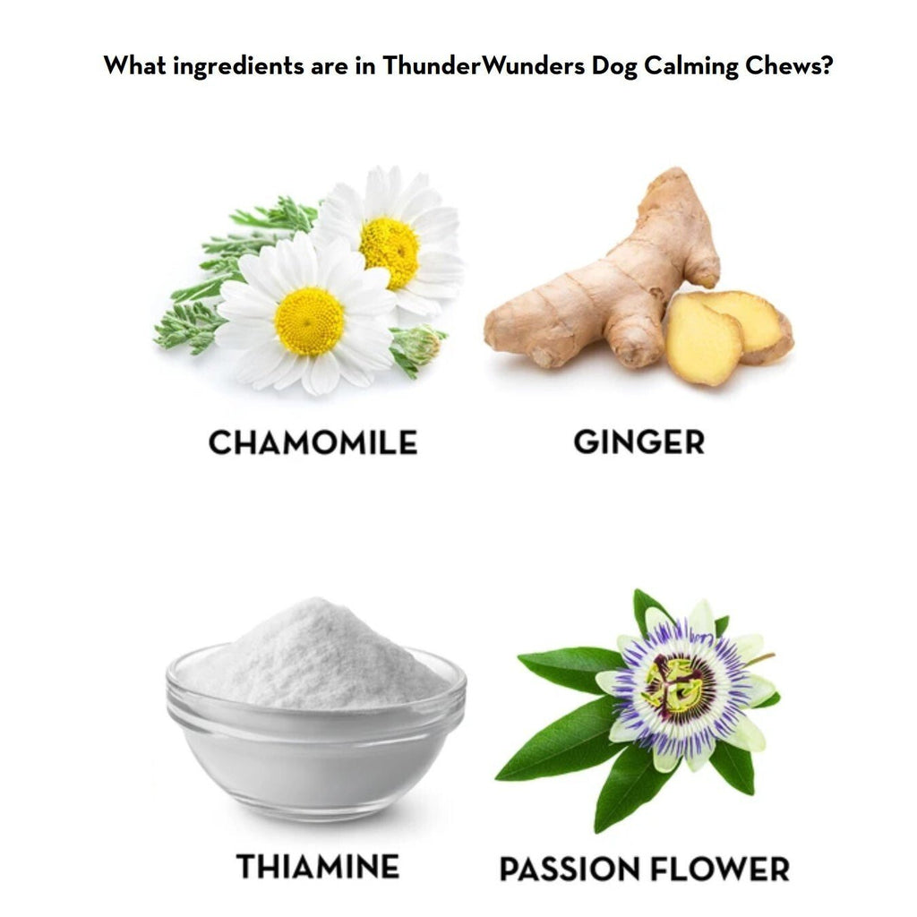 Thunderwunders Calming Chews for Stressed and Anxious Dogs -125g