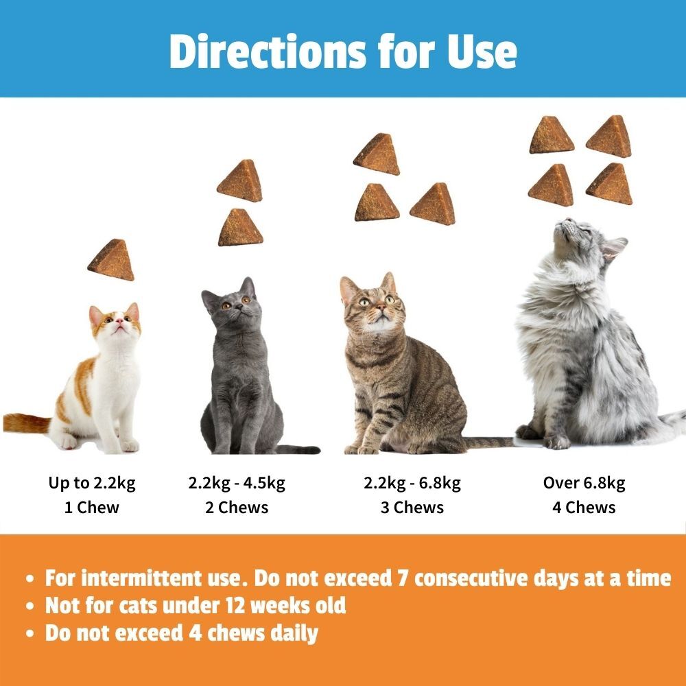 Thunderwunders Calming Chews for Stressed and Anxious Cats - 180g